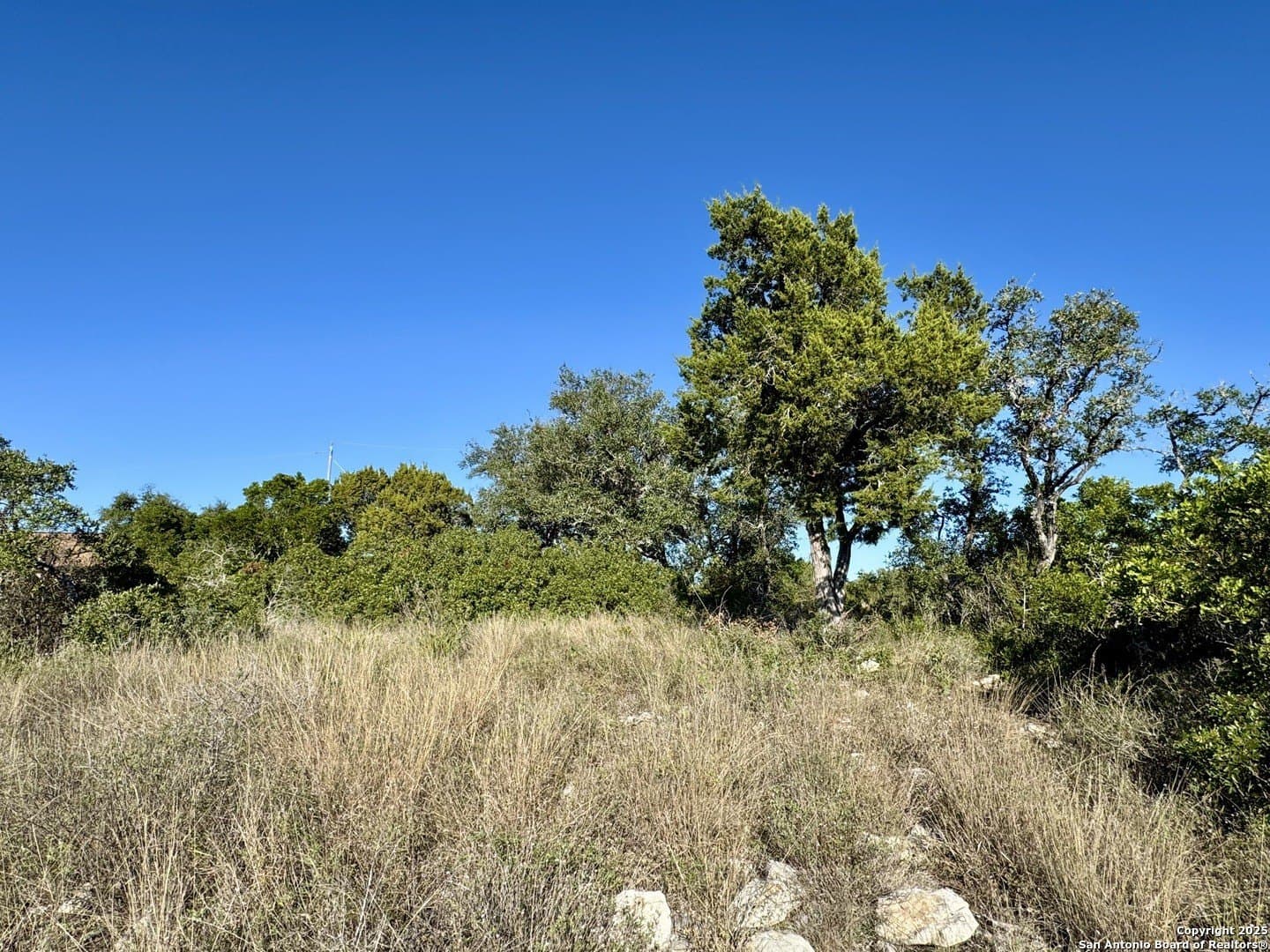 3 acres in Medina County - photo 20