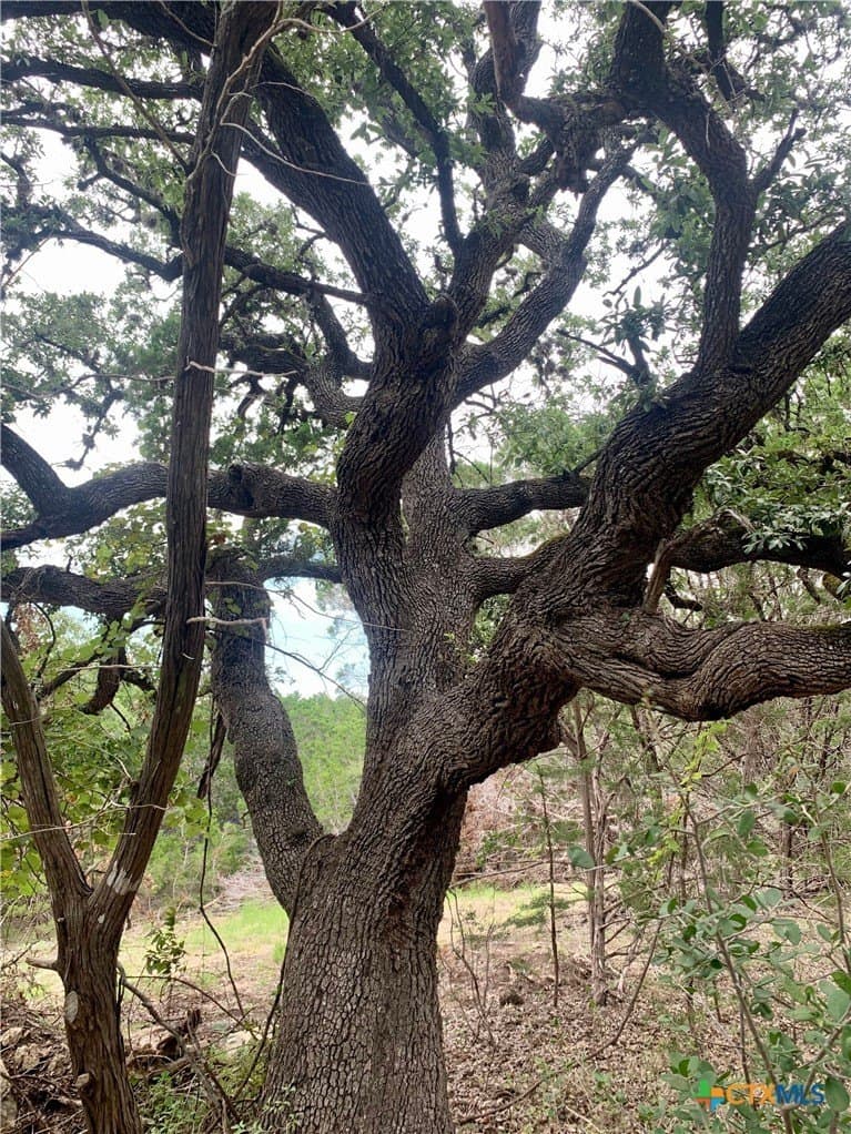 0.41 acres in Comal County - photo 5