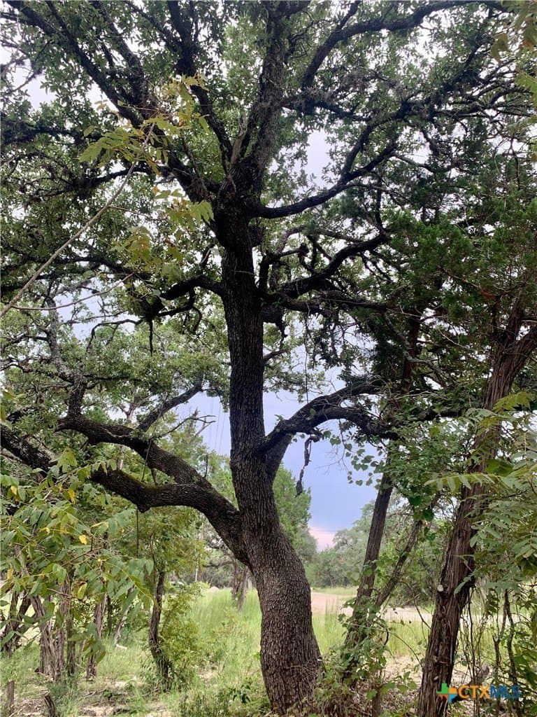 0.41 acres in Comal County - photo 4