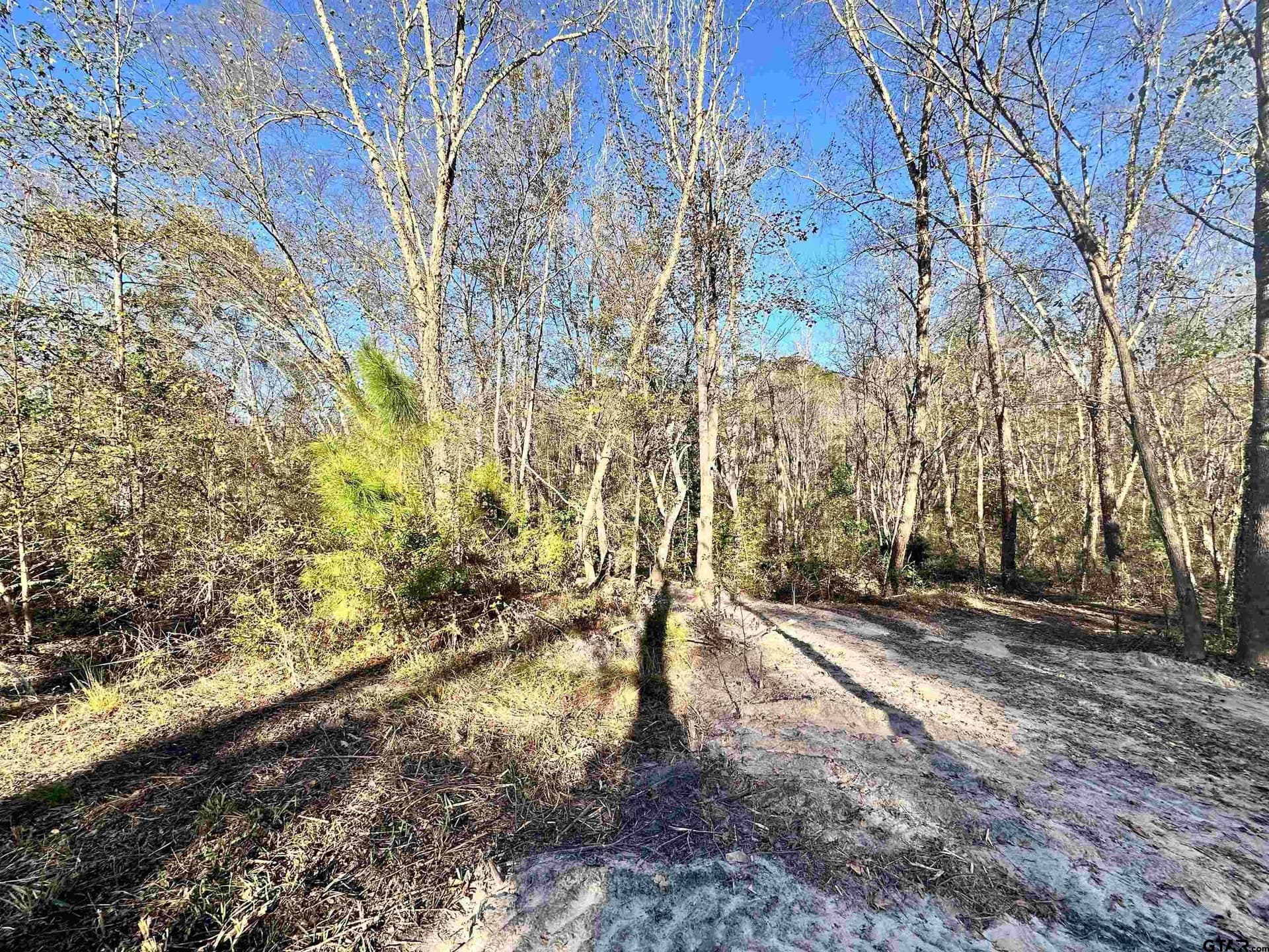 2.68 acres in Henderson County - photo 6