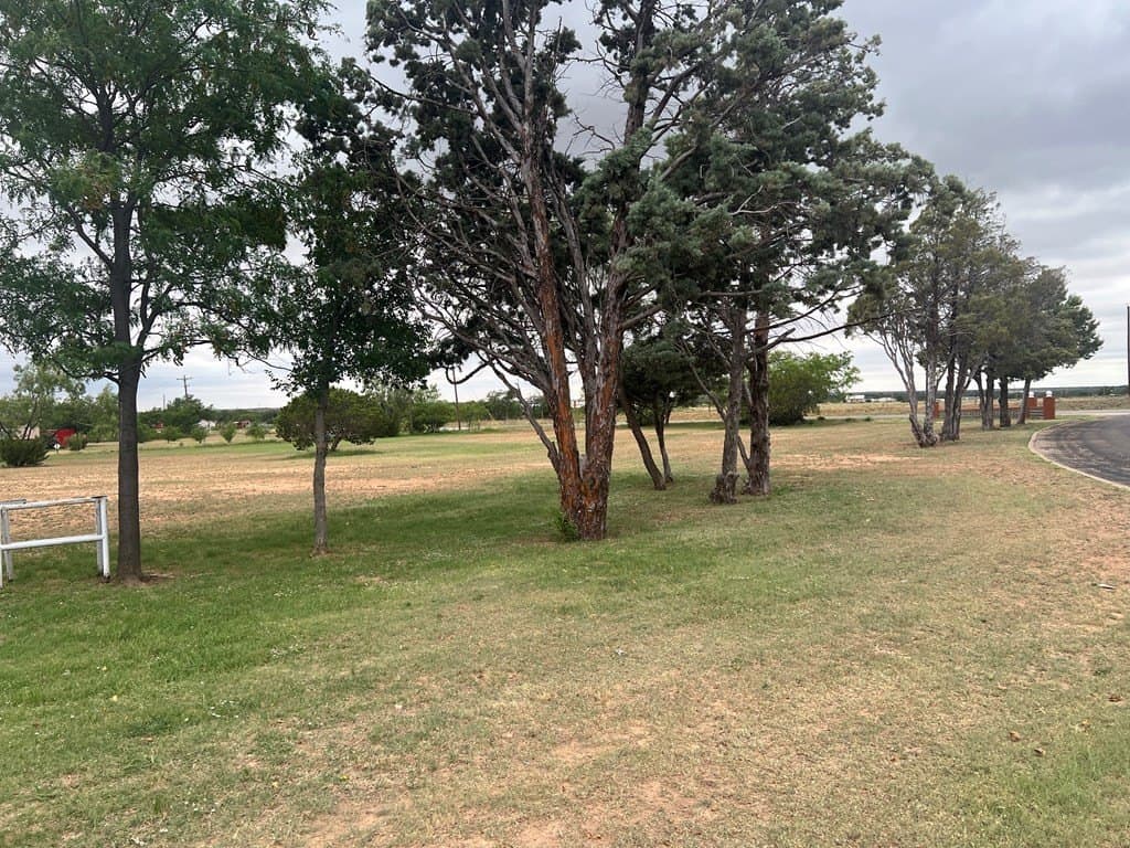 18.04 acres in Scurry County - photo 58