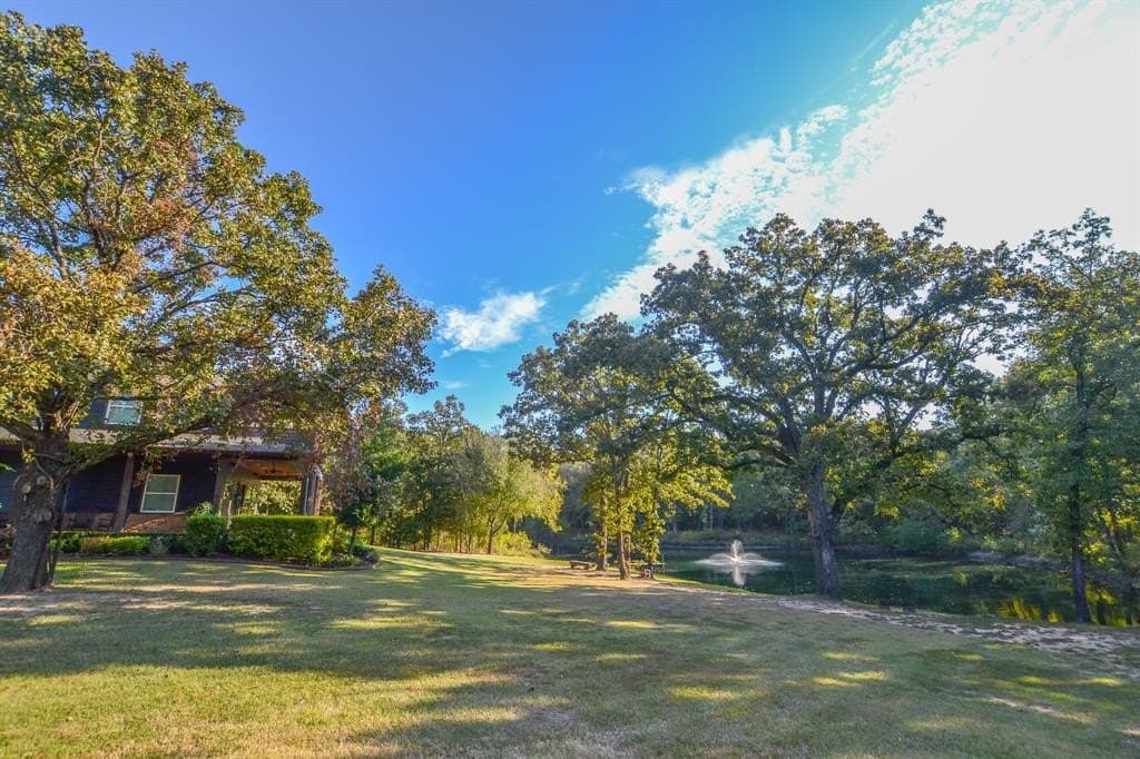 78.83 acres in Rains County - photo 29
