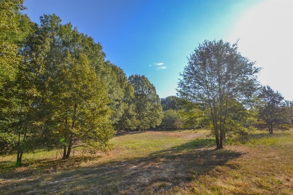 78.83 acres in Rains County - photo 40