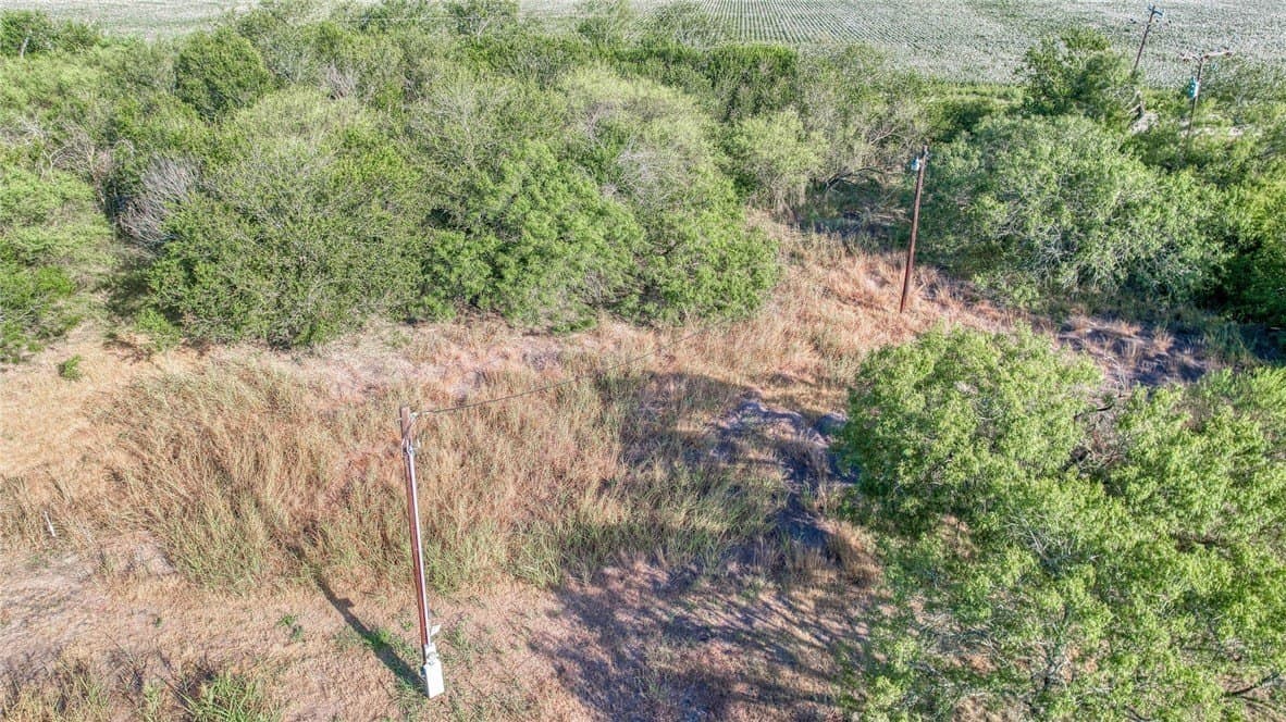 2.5 acres in Nueces County - photo 3