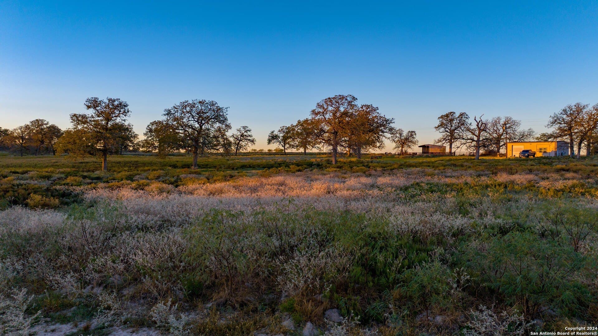 164 acres in Guadalupe County - photo 8