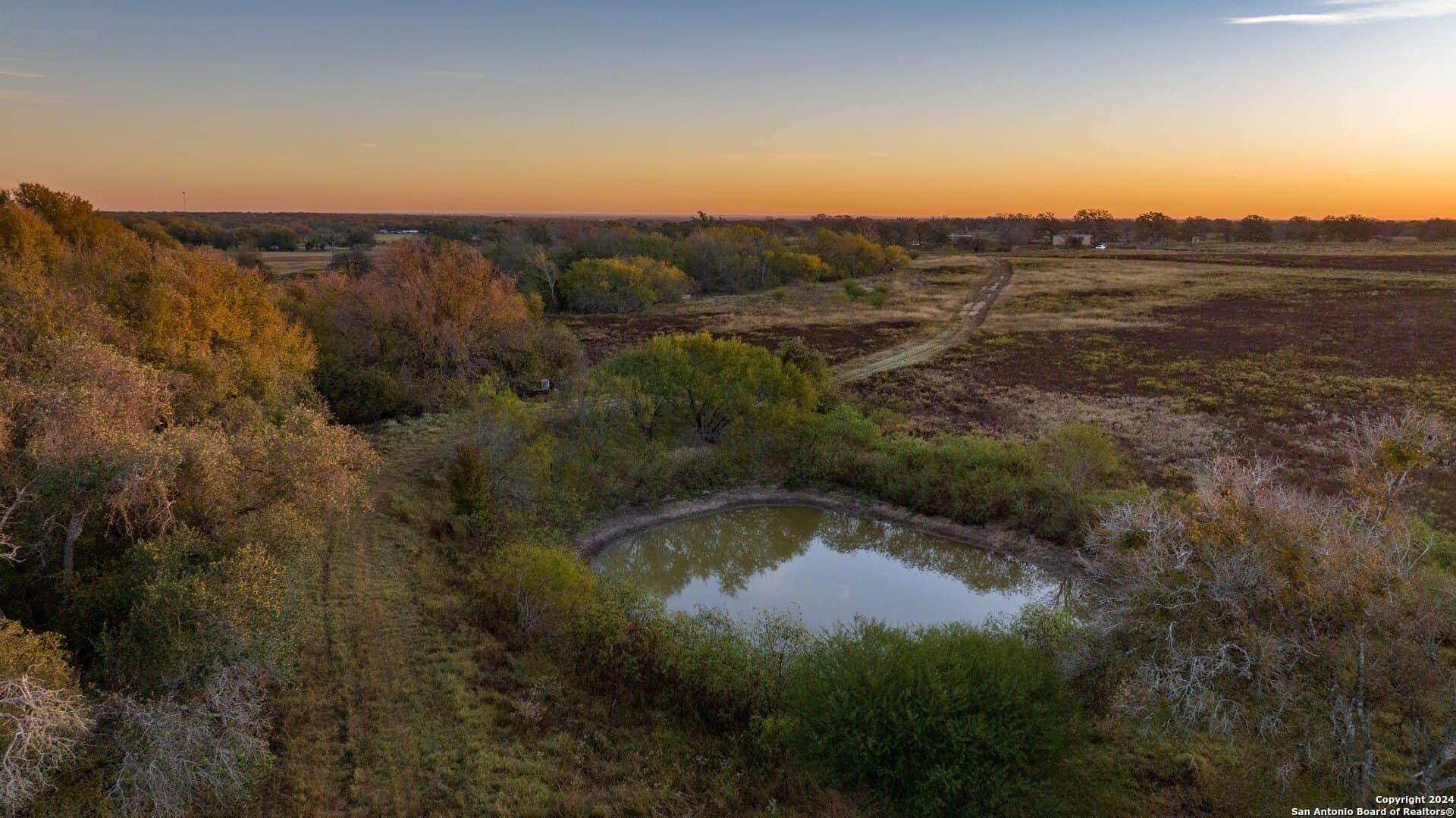 164 acres in Guadalupe County - photo 6