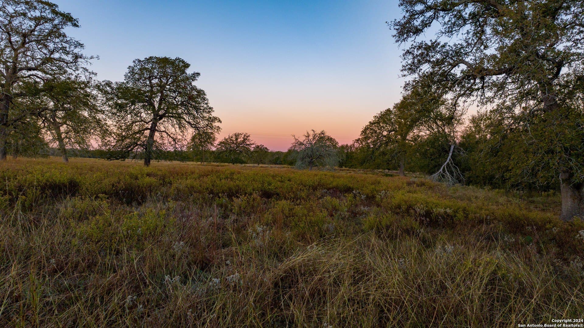 164 acres in Guadalupe County - photo 3