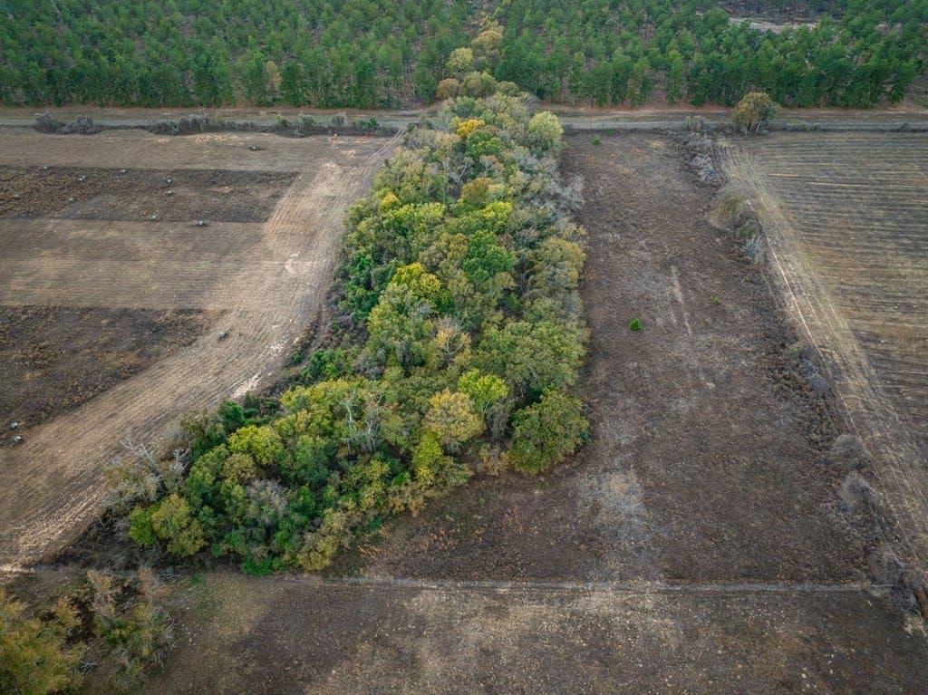 10.6 acres in ANDERSON County - photo 4