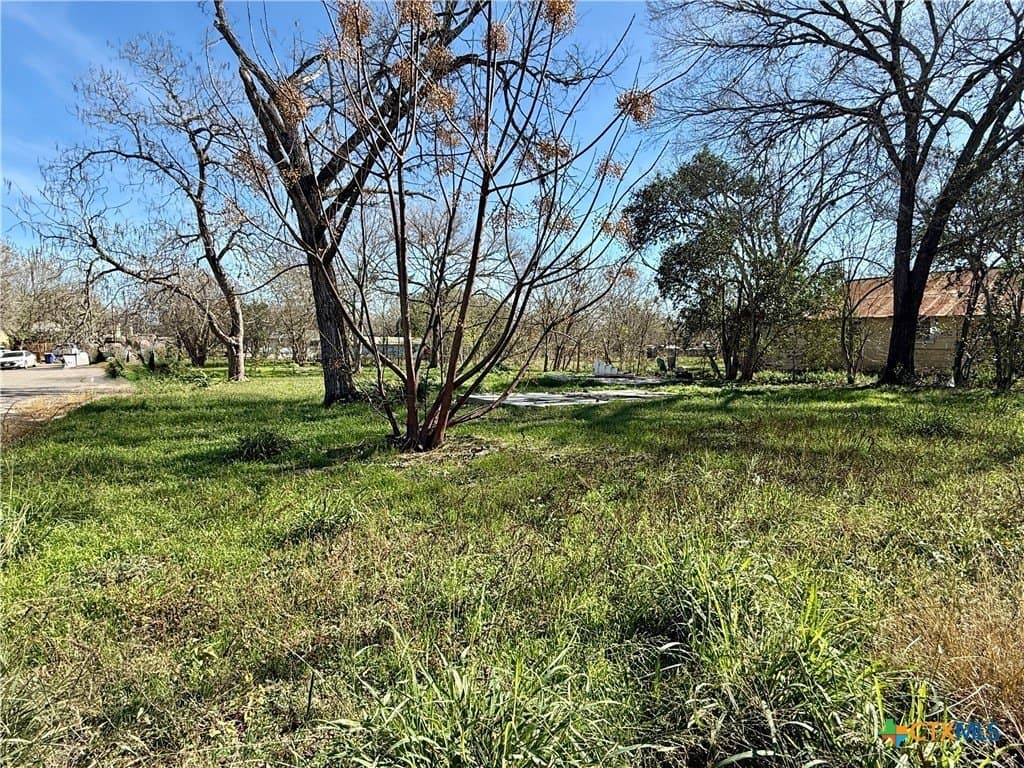 0.25 acres in Gonzales County - photo 5