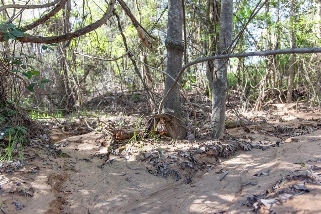 3.18 acres in Smith County - photo 2