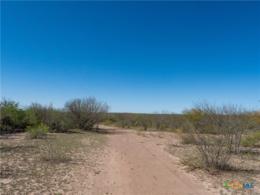 145 acres in Live Oak County - photo 3