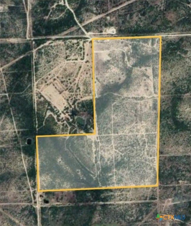 145 acres in Live Oak County - photo 2