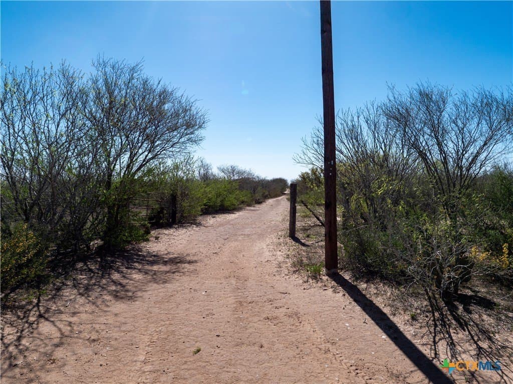 145 acres in Live Oak County - photo 4