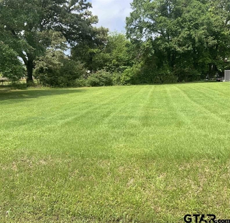 0 acres in Henderson County - photo 2