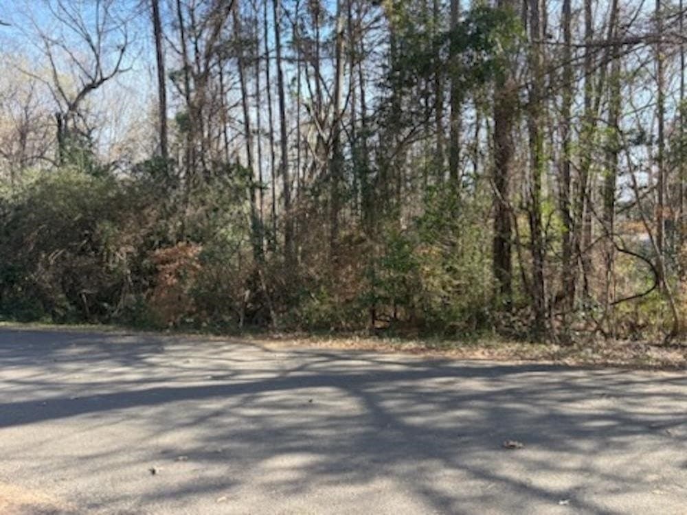 0.74 acres in Texas County - photo 2