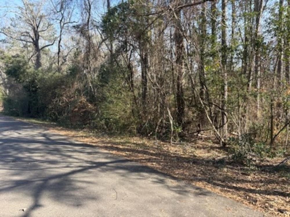 0.74 acres in Texas County - photo 4