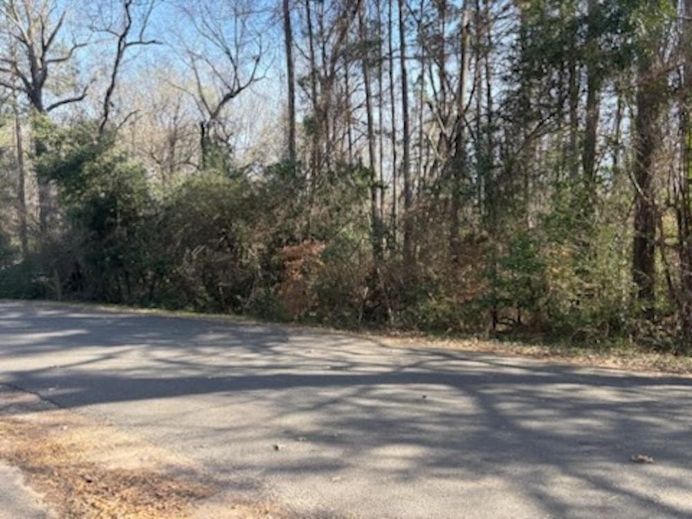 0.74 acres in Texas County - photo 3