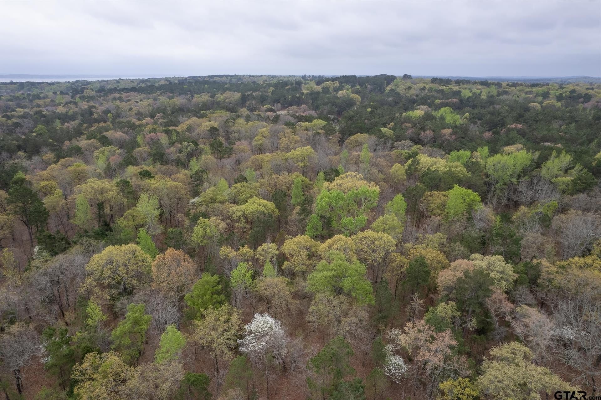 10.32 acres in Henderson County - photo 7