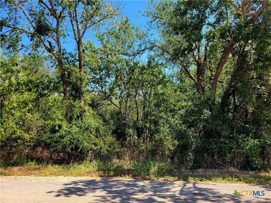 6.96 acres in Caldwell County - photo 2