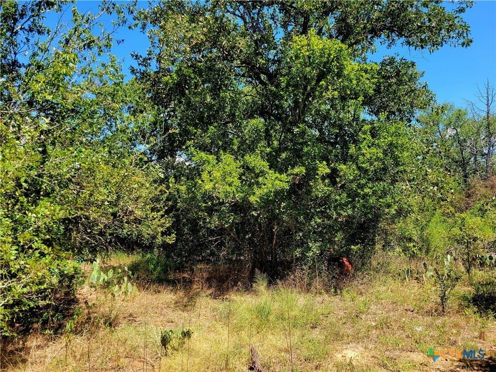 6.96 acres in Caldwell County - photo 3