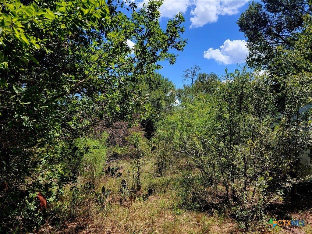 6.96 acres in Caldwell County - photo 4