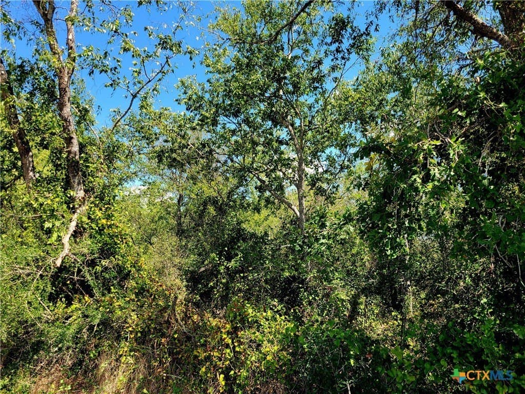 6.96 acres in Caldwell County - photo 7