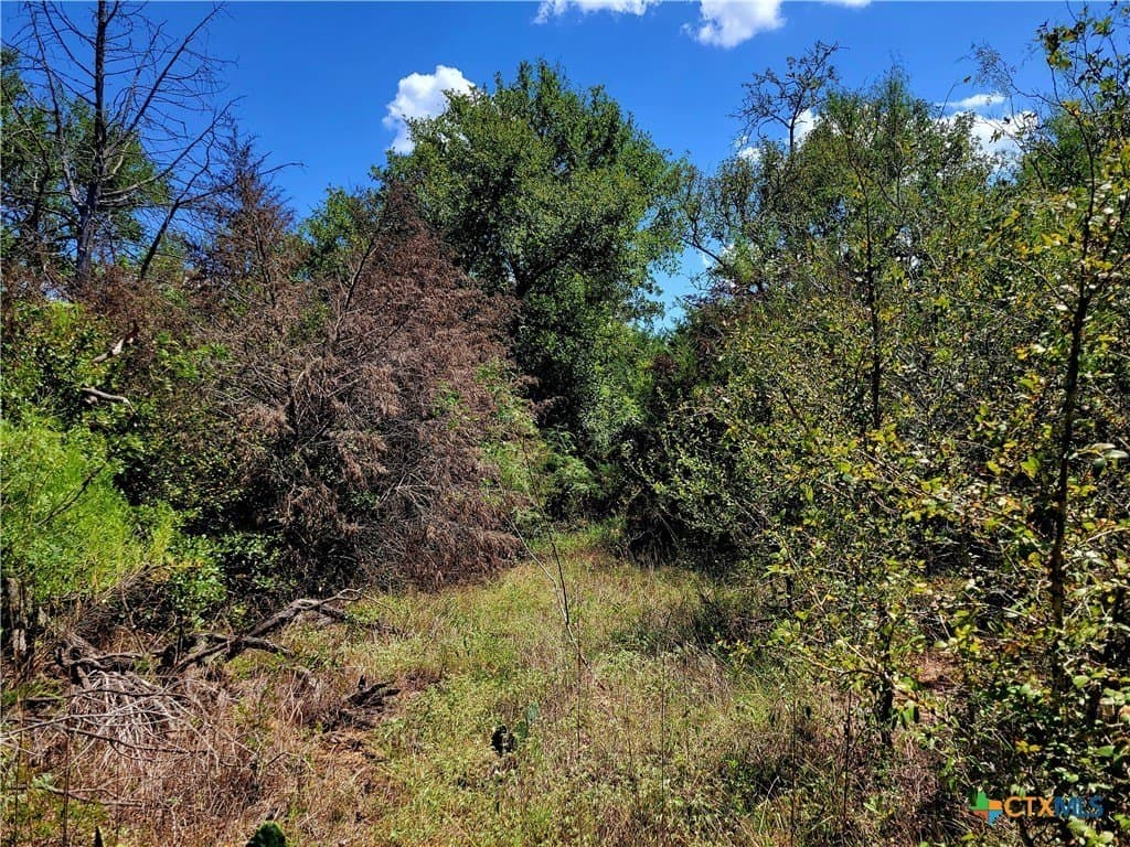 6.96 acres in Caldwell County - photo 8
