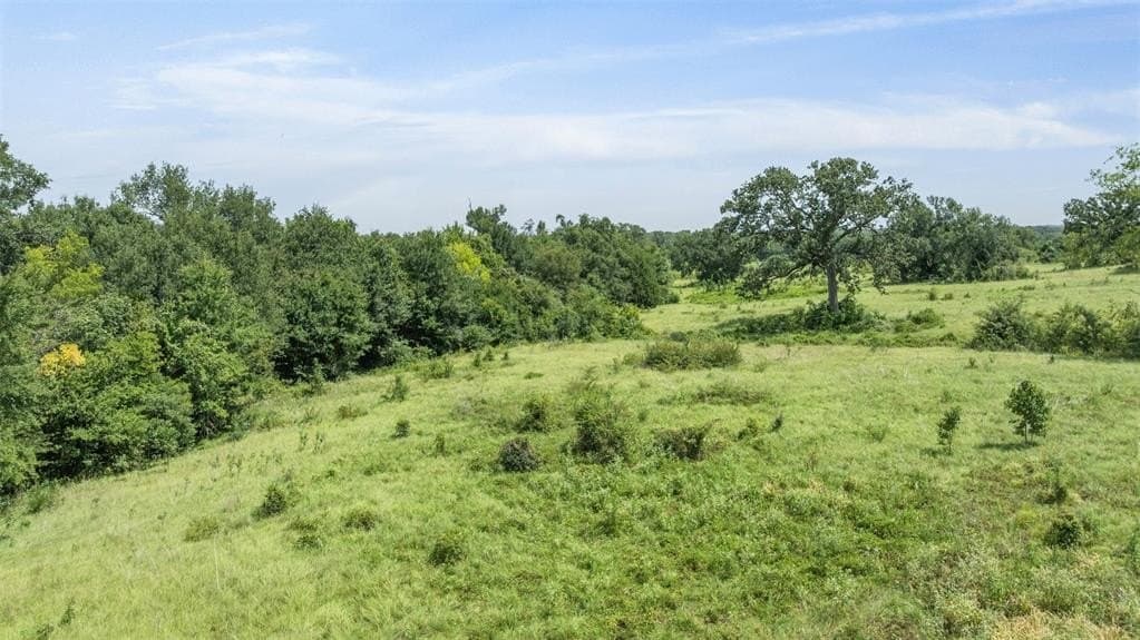 10.65 acres in Limestone County - photo 5