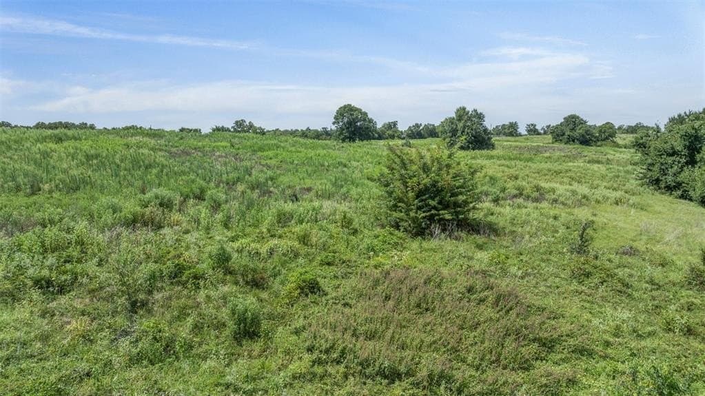 10.65 acres in Limestone County - photo 16