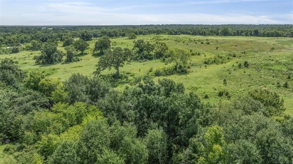10.65 acres in Limestone County - photo 13