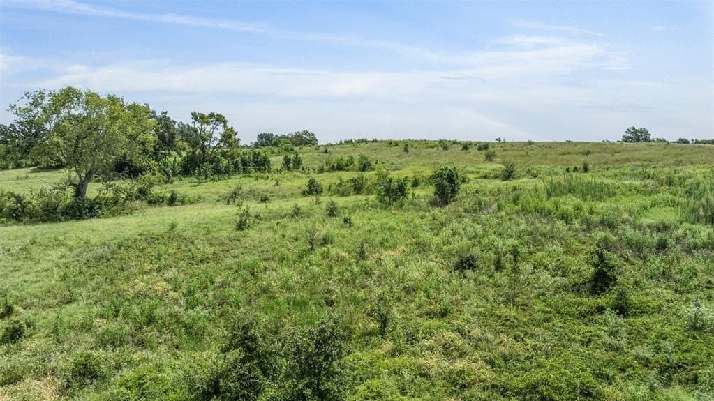 10.65 acres in Limestone County - photo 15