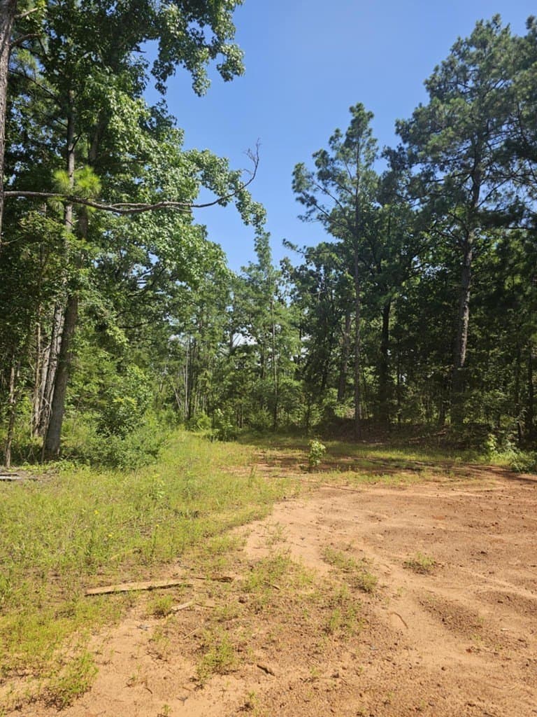 0.22 acres in SMITH County - photo 4