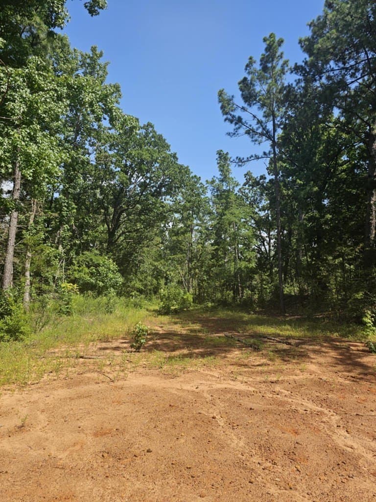 0.22 acres in SMITH County - photo 2