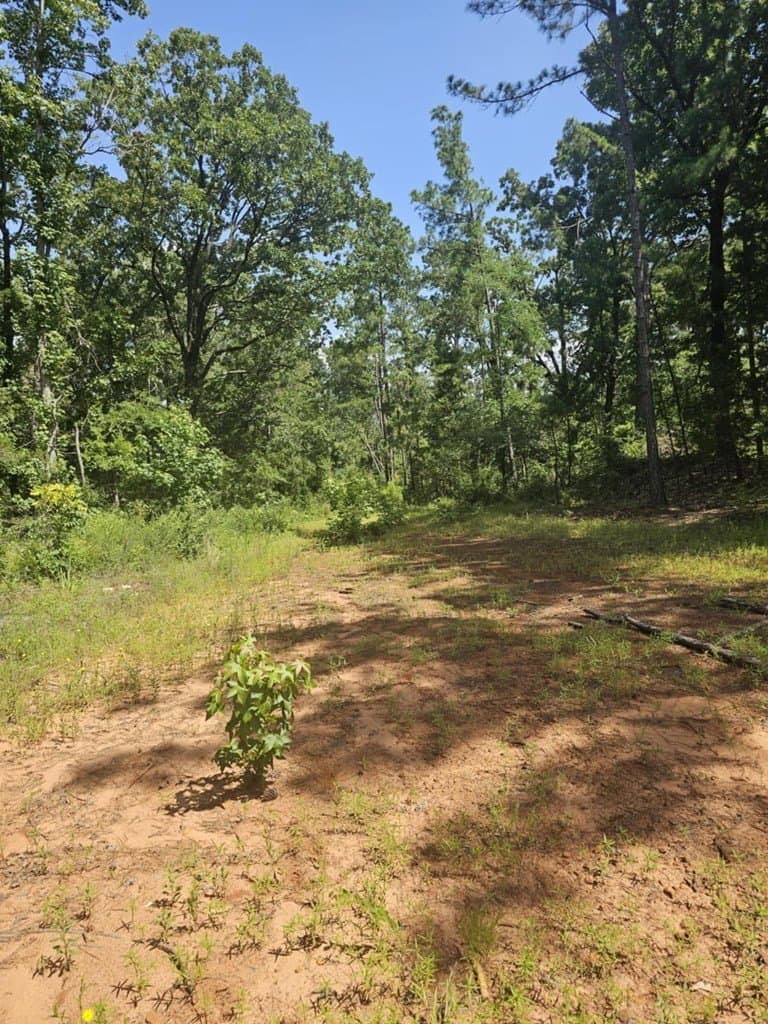 0.22 acres in SMITH County - photo 3