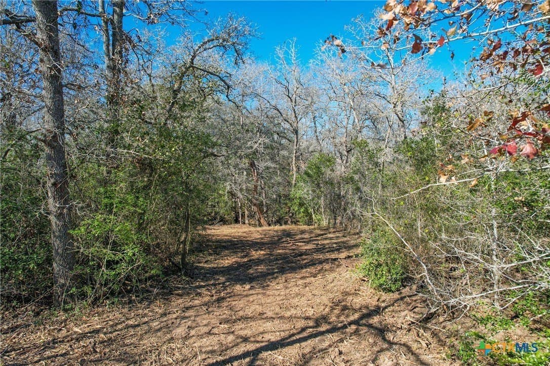 10.1 acres in Gonzales County - photo 5
