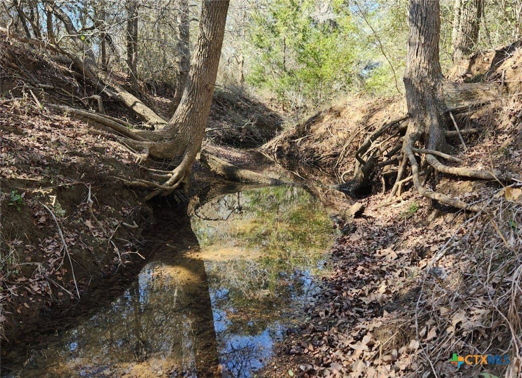 10.1 acres in Gonzales County - photo 9