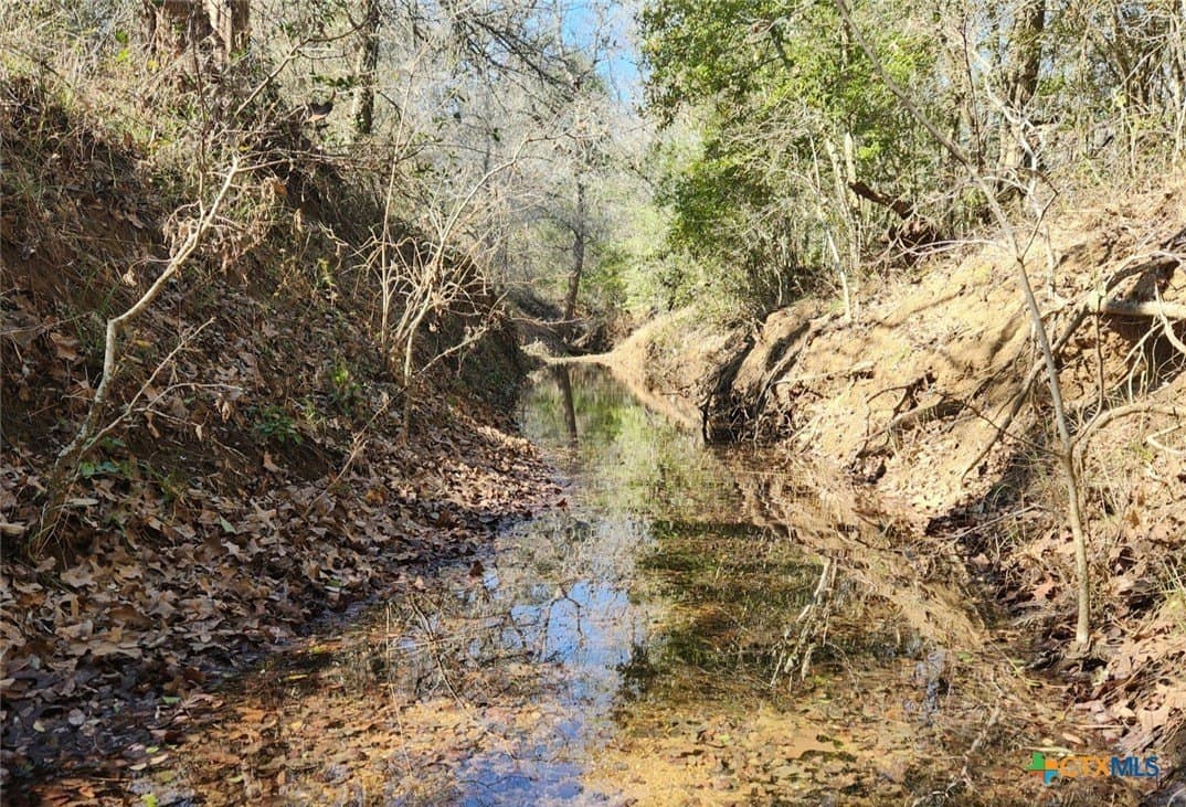 10.1 acres in Gonzales County - photo 3