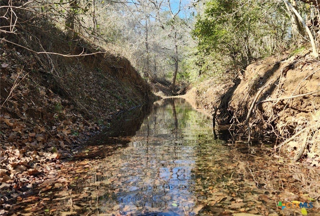 10.1 acres in Gonzales County - photo 6