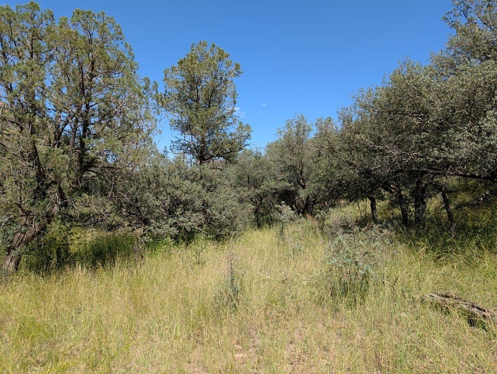 5.19 acres in Jeff Davis County - photo 3