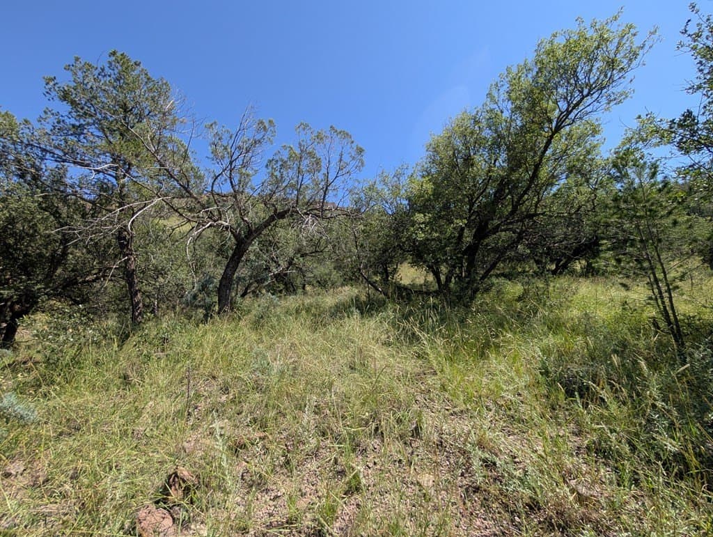 5.19 acres in Jeff Davis County - photo 6
