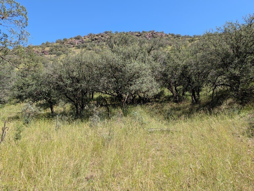 5.19 acres in Jeff Davis County - photo 2