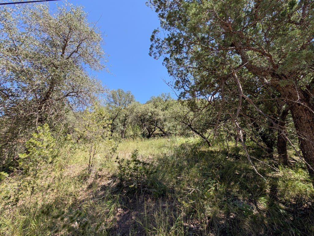 5.19 acres in Jeff Davis County - photo 10