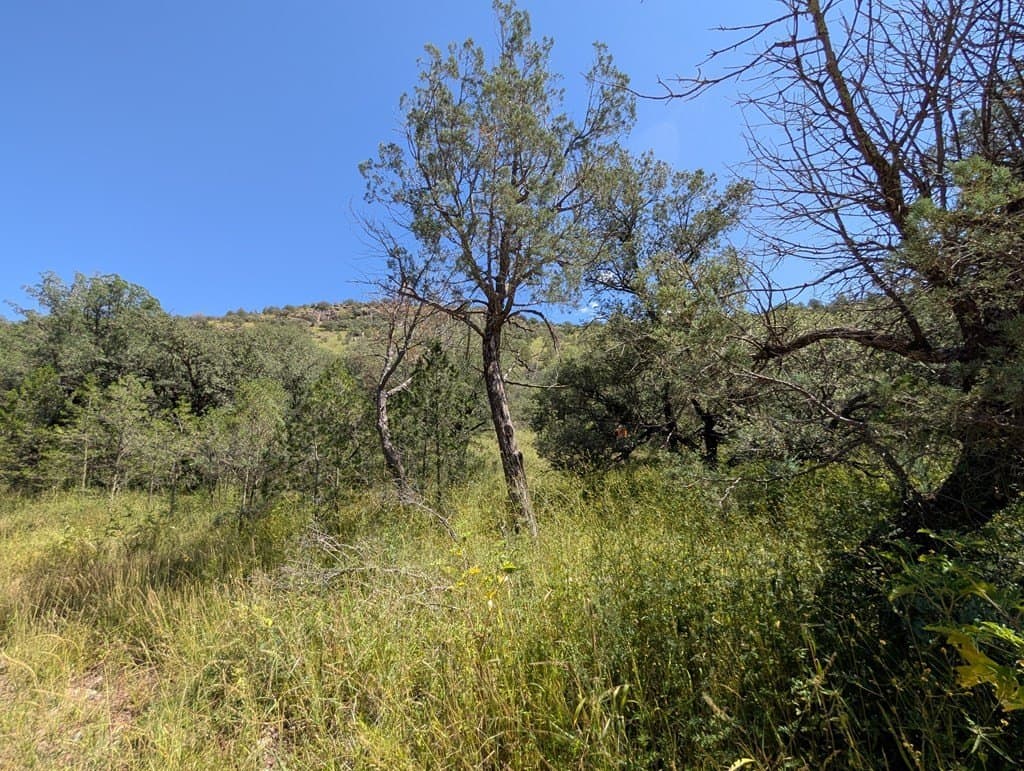 5.19 acres in Jeff Davis County - photo 8