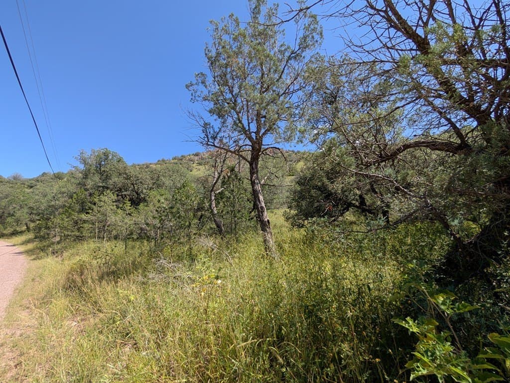 5.19 acres in Jeff Davis County - photo 11