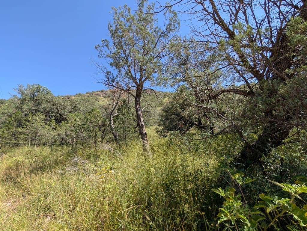5.19 acres in Jeff Davis County - photo 12