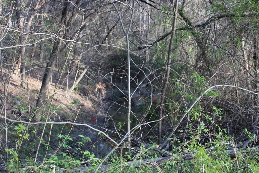 1.04 acres in Ellis County - photo 6