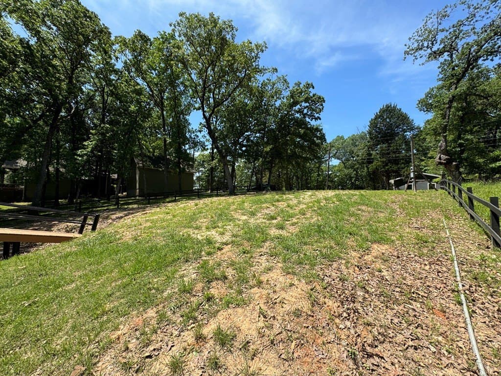 0.16 acres in Henderson County - photo 6