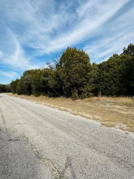 0.51 acres in Hill County - photo 2