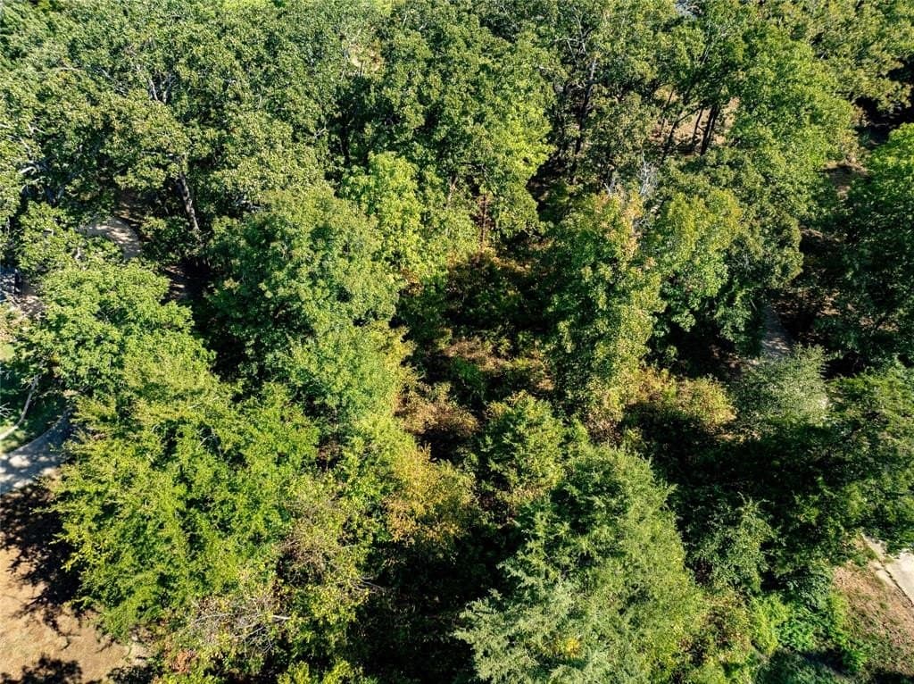 0.74 acres in Lamar County - photo 3
