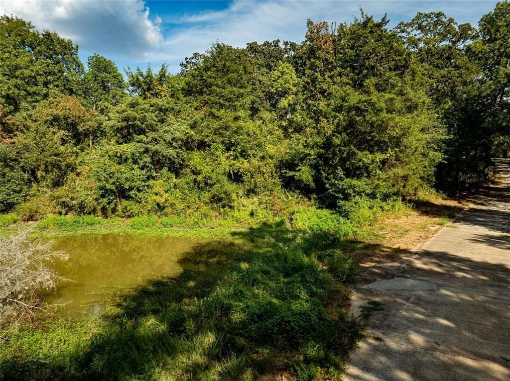 0.74 acres in Lamar County - photo 6